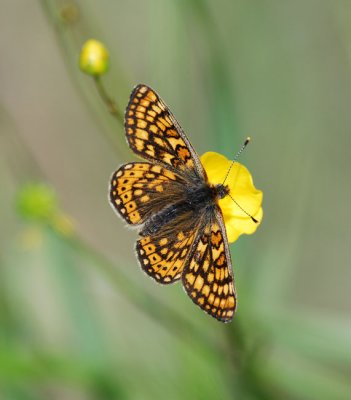 Munkhyttan Vstmanland