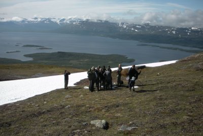 Studier av Hgnordisk prlemorfjril  Boarrasachohkka Torne lappmark 2.7-09