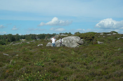 Steninge Halland med Alkonblvinge Juli-07