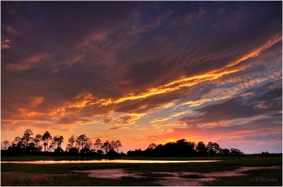 Sunset in the Marsh...