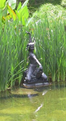Brooklyn Botanic Garden