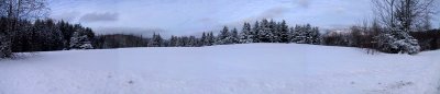 A field in Winter
