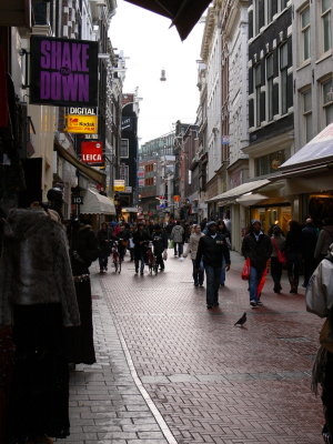 P1000429.JPG