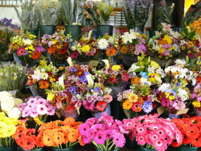 Flowers at the Koreans