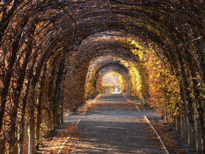 Snug Harbor - Staten Island