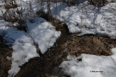 Snow Melt