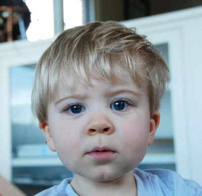 g3/31/821831/3/122914052.TvCOCWjh.jpg