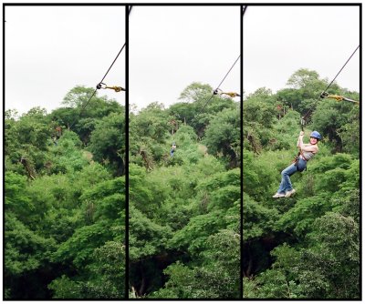 zip-lining in the jungle -- can you see Janetta in pictures 1 and 2?