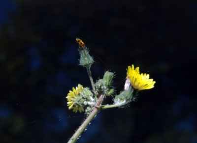 g3/31/821831/3/95532001.xn7HZsXB.jpg