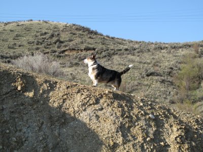 IMG_0583.JPG