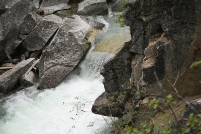 IMG_0200_1.jpg