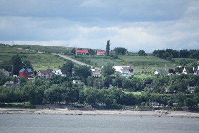 IMG_3111.JPG