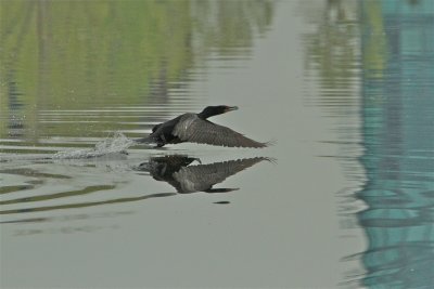 IMG_5555.JPG