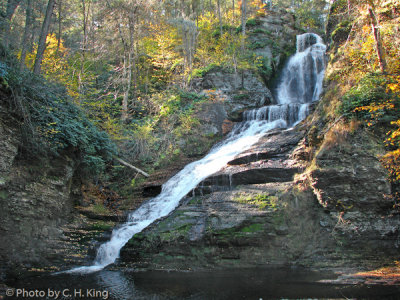 Dingman Falls