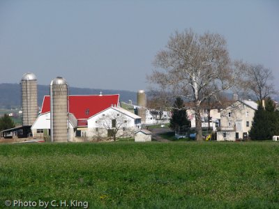 Amish Farm