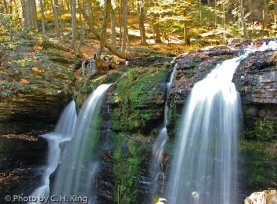 Water Fall - George W. Childs State Park