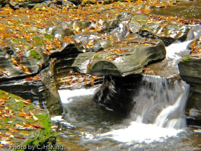 g3/31/944531/3/122690284.ONIZ9dDr.jpg