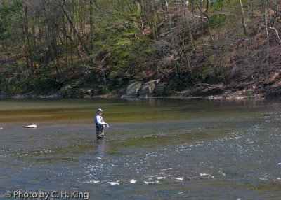 Trout Fishing