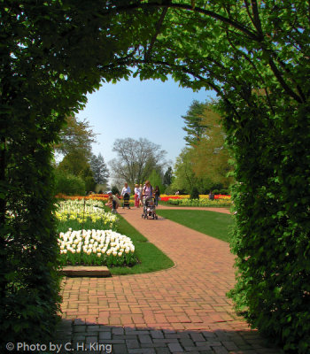 Longwood Gardens in Springtime