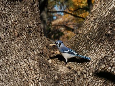 DSC_3668.jpg