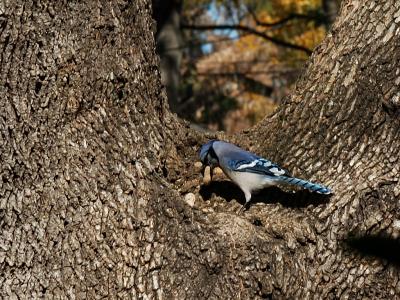 DSC_3669.jpg