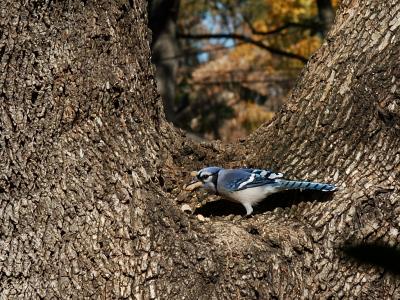 DSC_3670.jpg