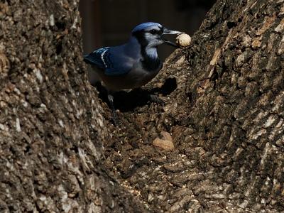 DSC_3696.jpg