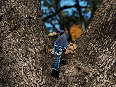 DSC_3704.jpg