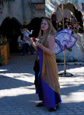 Texas Renaisance Festival