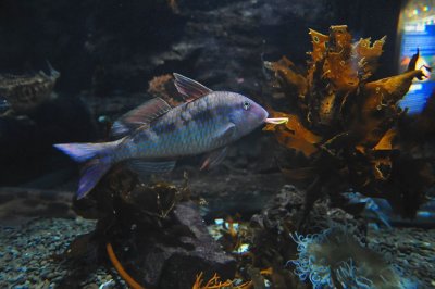 PC-DSC_5511.JPG