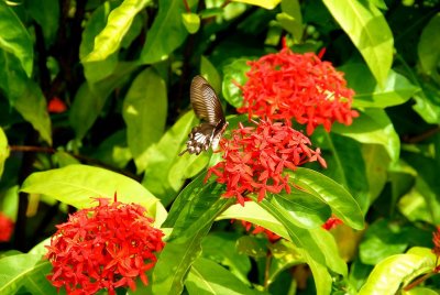 PC-DSC_0093.JPG
