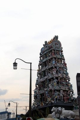 PC-singa(9).JPG