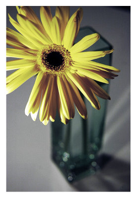 flower-010.jpg