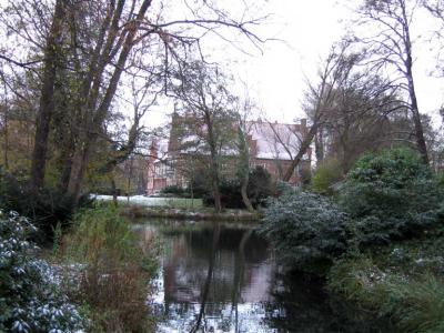 15.jpg