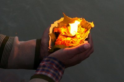 g3/32/284232/3/122355368.yP5XUHJ5.jpg