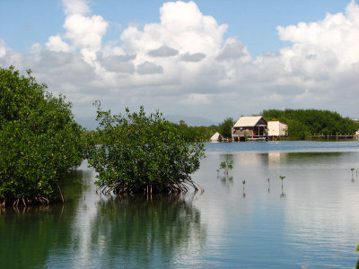 12-13-09 cabin in mangroves2.jpg