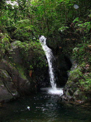 12-13-09 cockscomb basin waterfall4.jpg