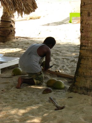 12-13-09 coconut opening.jpg