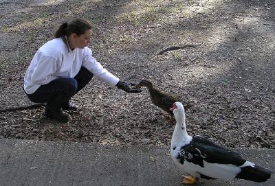 12-09-05 tiff with mallard.jpg