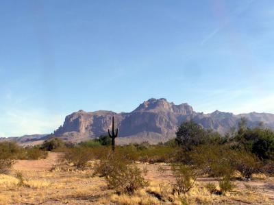 12-28-05 saguaro and superstition1.jpg