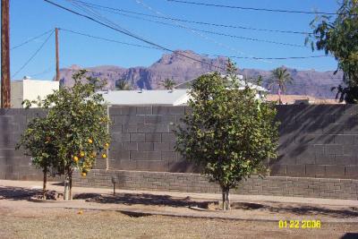 01-22-06 aj superstition mtn byard1.jpg