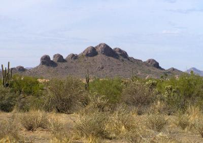 02-26-06 foothills.jpg