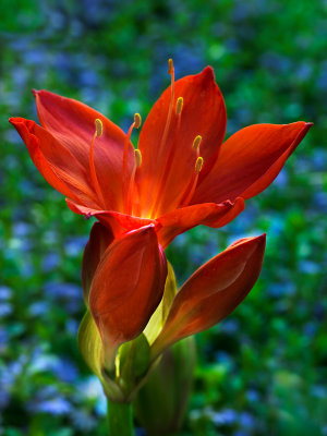 2310v3_5247w_prv.jpg