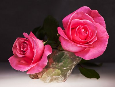 IMG_9325-2w.jpg