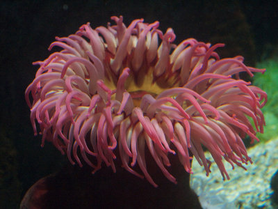 baltimore_aquarium