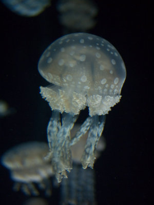 20100312-P1050114.jpg