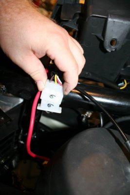 IMG_5444_resize.JPG