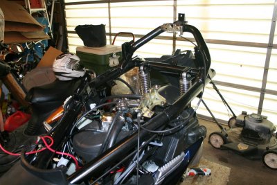IMG_5445_resize.JPG