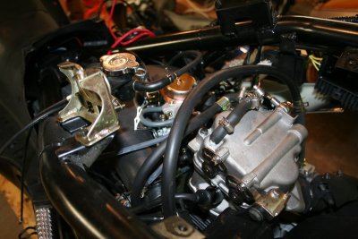 IMG_5446_resize.JPG