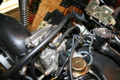 IMG_5448_resize.JPG